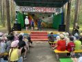 Специалисты МЧС России прививают культуру безопасности зауральским ребятам