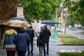 Гроза, шквалистый ветер, температура до +27: погода в Курганской области на 20 июля