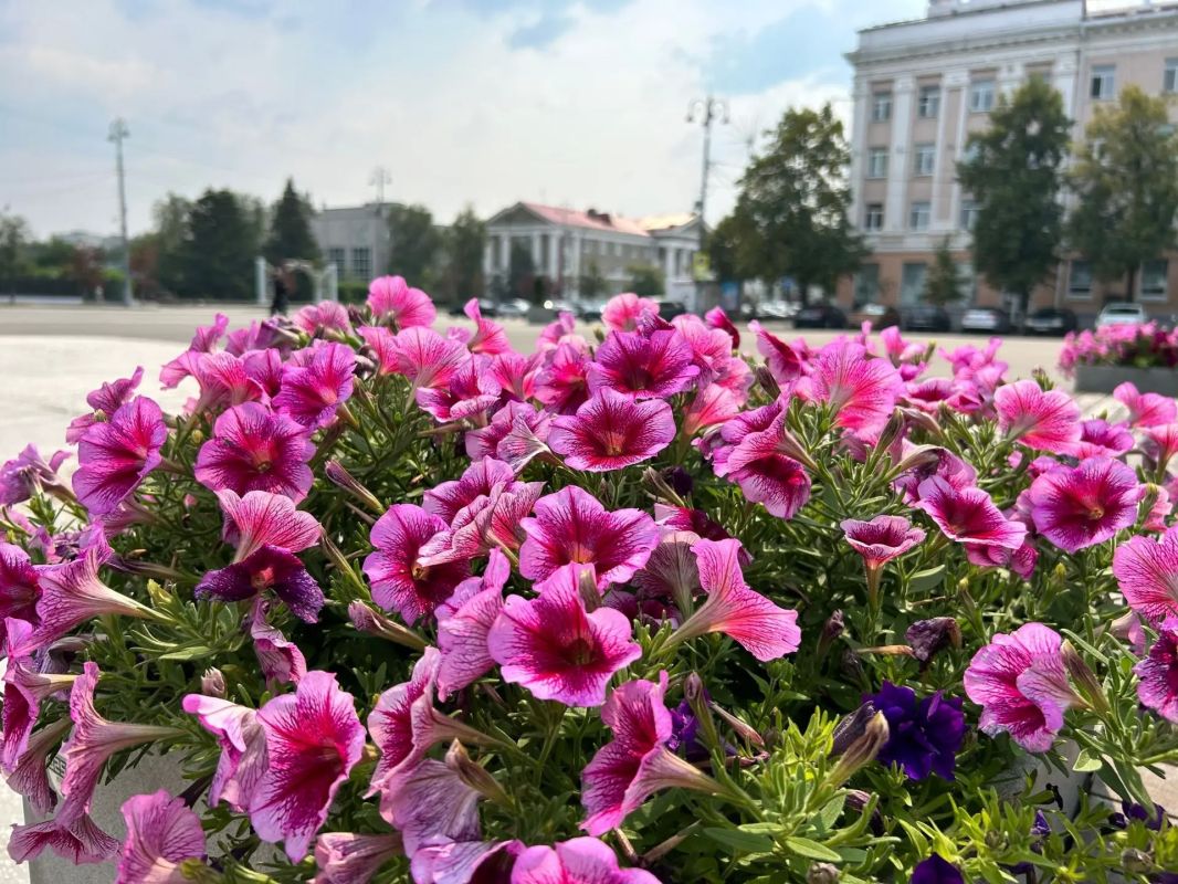 В Кургане продолжается озеленительная кампания В Кургане продолжается озеленительная кампания