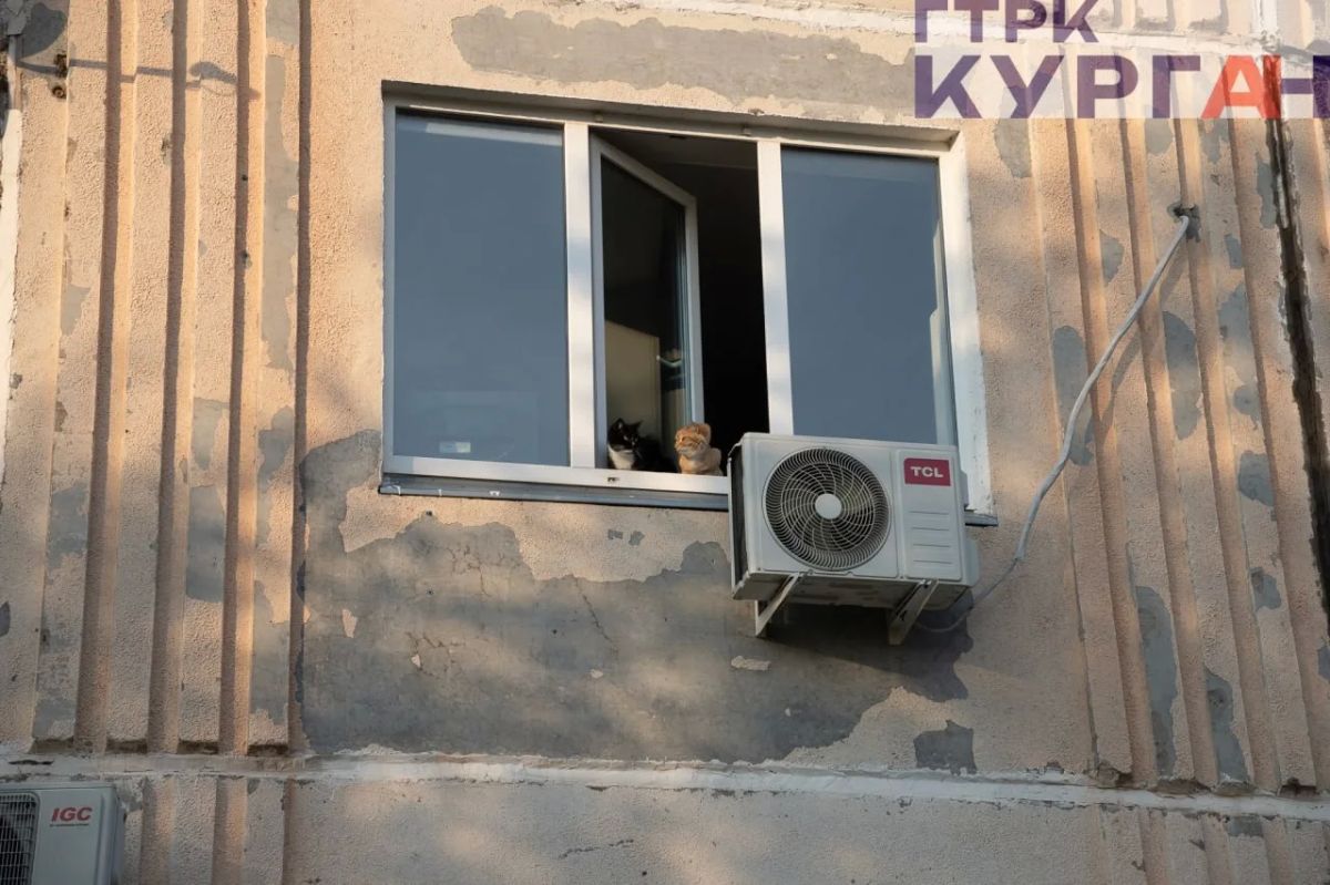 На солнечной стороне: гуляем по одноимённому бульвару Кургана На солнечной стороне: гуляем по одноимённому бульвару Кургана