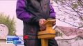По итогам первого полугодия 2026 года оптическая сеть «Ростелекома» охватила более 80% домохозяйств в крупнейших российских мегаполисах, а в большинстве районных центров этот показатель превысил 90%