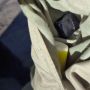 Сотрудниками батальона патрульно-постовой службы полиции в курганском СНТ задержан местный житель с наркотическим средством