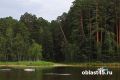 Волна популярности: сколько стоит покататься на сапборде в Кургане