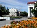 Производство мяса в Курганской области растет на фоне снижения надоев молока