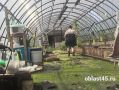 Грунтовые воды топят дома и теплицы в Курганской области