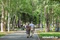 В Курганской области субботний ветер «разгуляется» до 14 метров в секунду