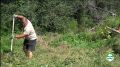 � ��������� ������ � ������ �������� ����-2026� ��������� ���� ������������� ������������ �������