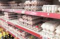За 7 месяцев в Курганской области произвели больше 50 млн куриных яиц