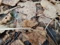 ������� ����������: ����� �������� ���������� ������� ����� �������������� � �������