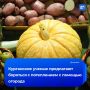 Тыкву и крапиву предложили бросить на борьбу с глобальным потеплением