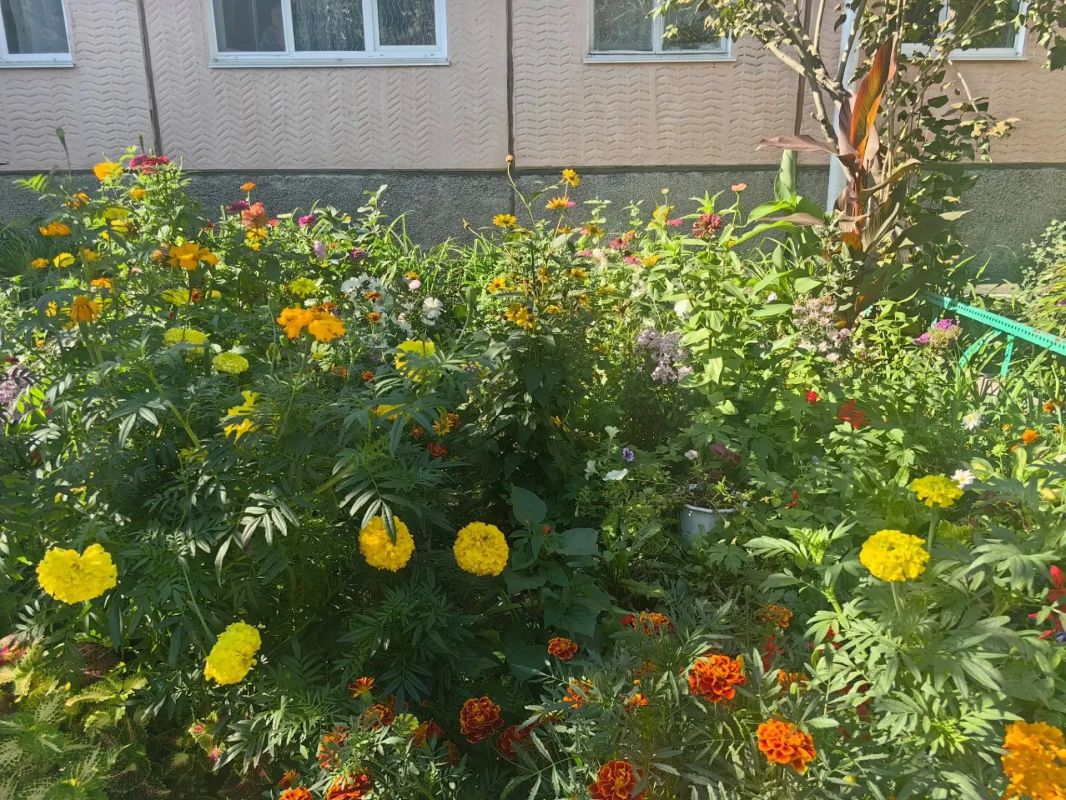 В Кургане продолжается ежегодный городской конкурс «Родная улица моя» В Кургане продолжается ежегодный городской конкурс «Родная улица моя»