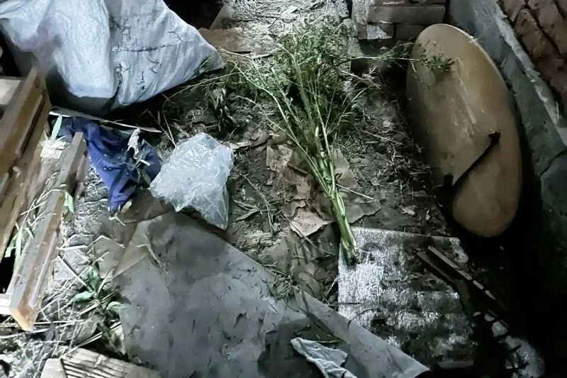 В Шумихе сотрудники полиции изъяли у местного жителя более полкилограмма конопли В Шумихе сотрудники полиции изъяли у местного жителя более полкилограмма конопли