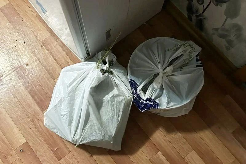 В Шумихе сотрудники полиции изъяли у местного жителя более полкилограмма конопли В Шумихе сотрудники полиции изъяли у местного жителя более полкилограмма конопли