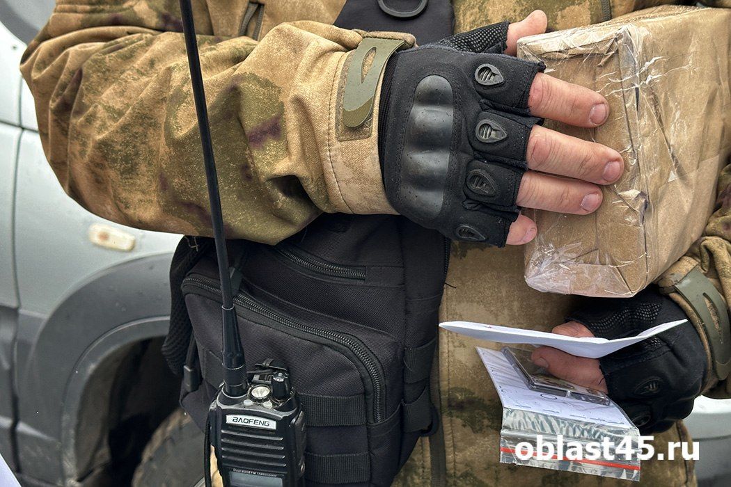 Иномарки пьяных водителей и браконьеров отправили на СВО из Курганской области