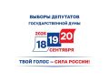 На выборах депутатов Государственной Думы помощь избирателям с ограниченными возможностями здоровья будут оказывать волонтеры