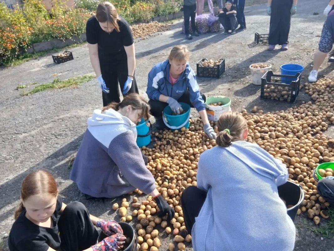 Пока аграрии убирают урожай на полях Курганской области, школьники из разных округов региона вместе с учителями активно трудятся на пришкольных участках Пока аграрии убирают урожай на полях Курганской области, школьники из разных округов региона вместе с учителями активно трудятся на пришкольных участках