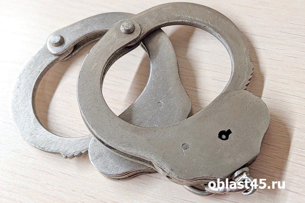 Жительница Куртамышского округа получила срок за покупку алкоголя с чужой карты