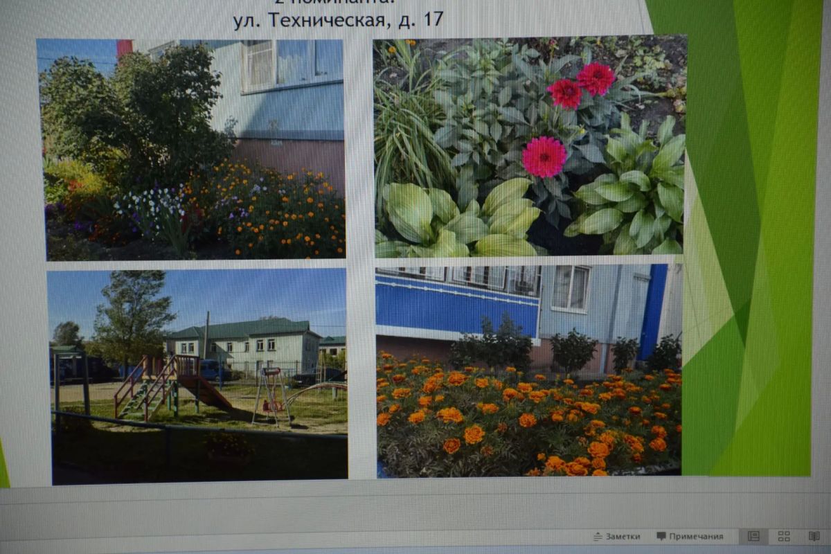 В Кургане подвели итоги городского конкурса «Родная улица моя» В Кургане подвели итоги городского конкурса «Родная улица моя»