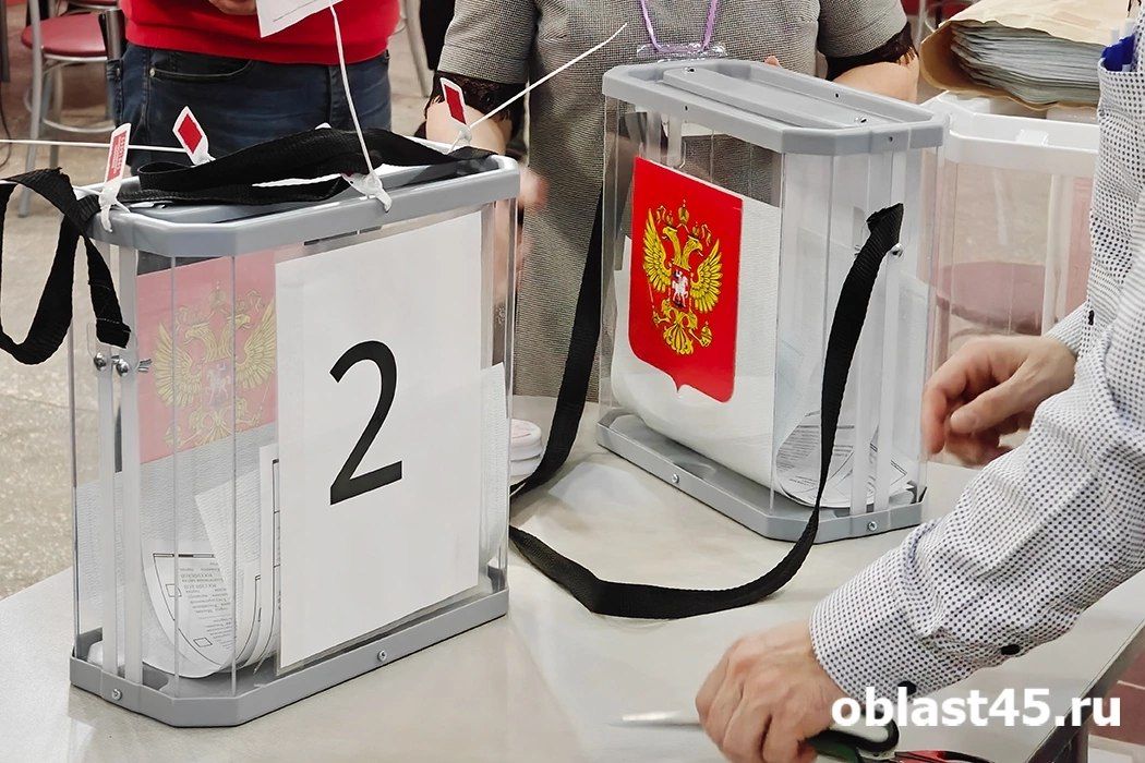 Голосовать дистанционно на выборах депутатов Госдумы будут 5,5% избирателей Курганской области