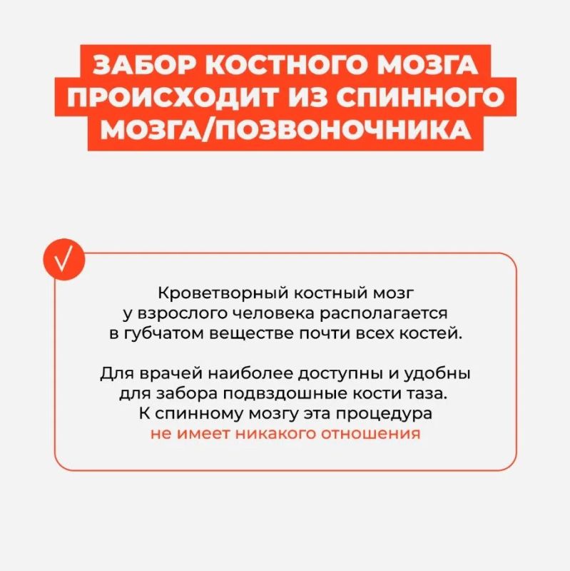 Межрегиональная акция по популяризации донорства костного мозга Межрегиональная акция по популяризации донорства костного мозга