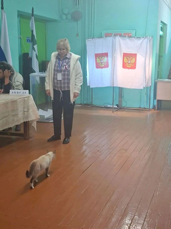 В первый день голосования в Курганской области некоторые избиратели приходили на избирательные участки вместе со своими питомцами В первый день голосования в Курганской области некоторые избиратели приходили на избирательные участки вместе со своими питомцами
