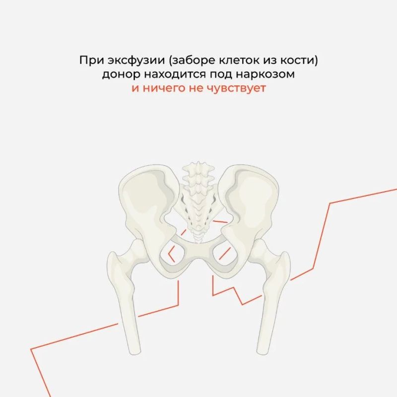 Межрегиональная акция по популяризации донорства костного мозга Межрегиональная акция по популяризации донорства костного мозга
