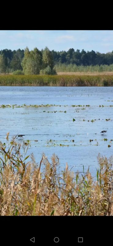 Красоты Зауральской природы глазами государственных охотничьих инспекторов Управления Красоты Зауральской природы глазами государственных охотничьих инспекторов Управления