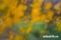 Без дождя и мороза начнутся выходные в Курганской области