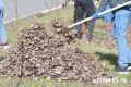 Уборка дворов и улиц: в Кургане стартует месячник чистоты