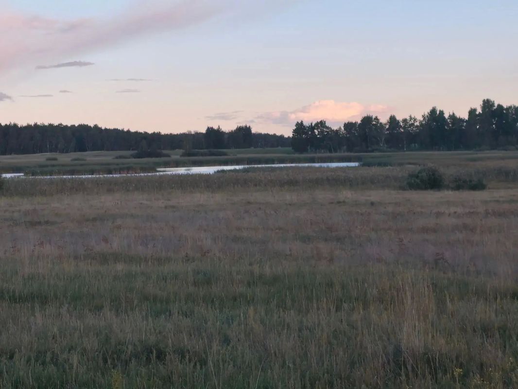 Красота природы Зауралья Красота природы Зауралья