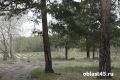������ ��������������� ����� �������� � ���������� �������