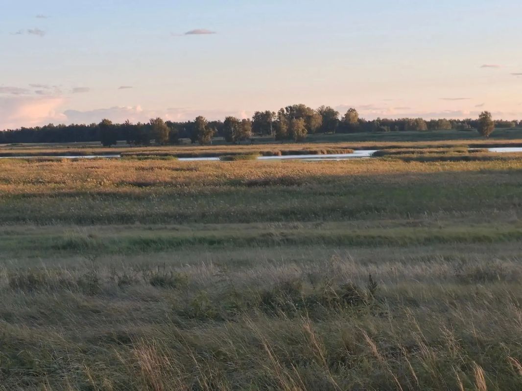Красота природы Зауралья Красота природы Зауралья