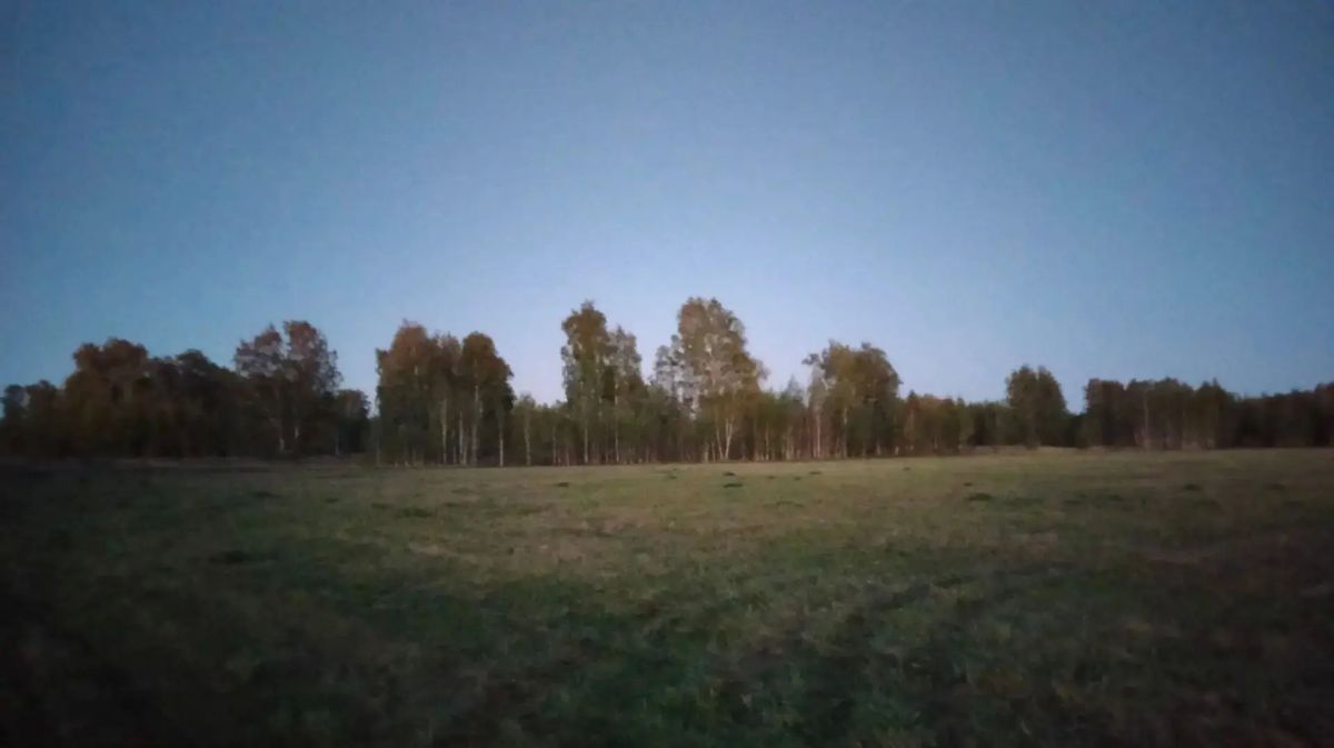 Утро в охотничьих угодьях Целинного округа Утро в охотничьих угодьях Целинного округа