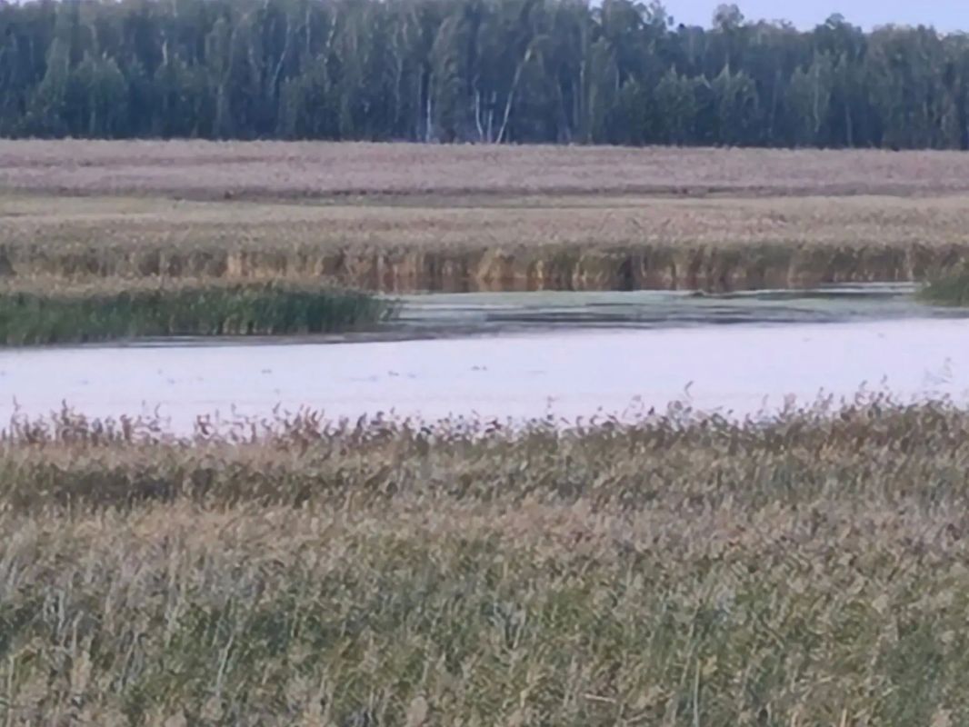 Красота природы Зауралья Красота природы Зауралья