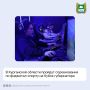 � ���������� ������� 29 � 30 �������� ������� ������������ �� ��������-������ �� ����� �����������