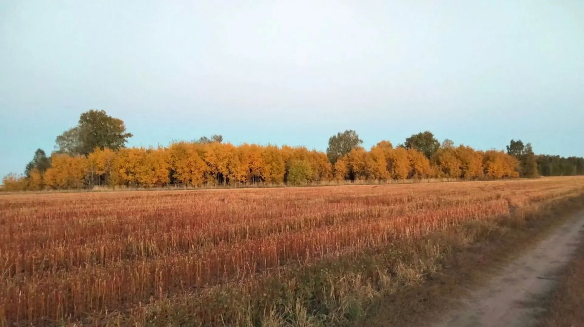 Целинный муниципальный округ, мероприятия в рамках постоянного рейда в ночь на 29 сентября Целинный муниципальный округ, мероприятия в рамках постоянного рейда в ночь на 29 сентября