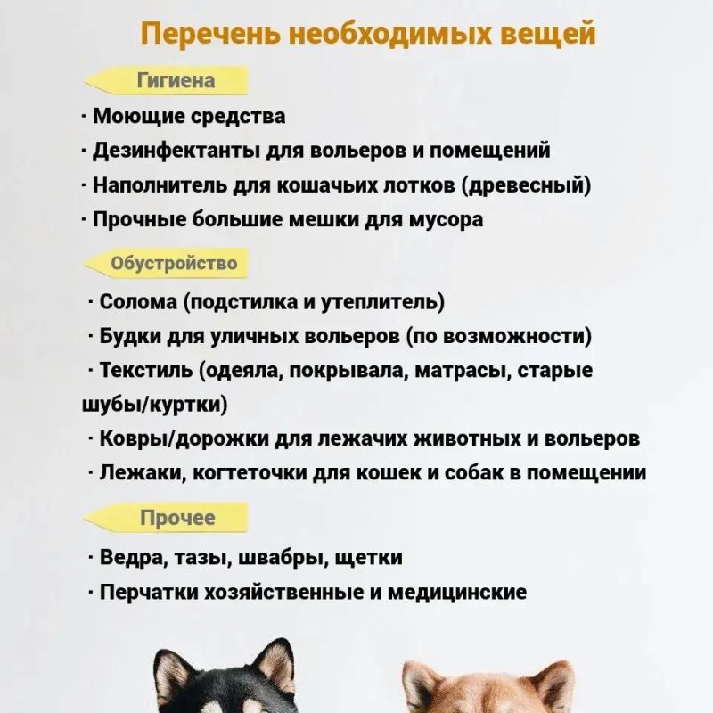Поможем братьям нашим меньшим вместе! Поможем братьям нашим меньшим вместе!
