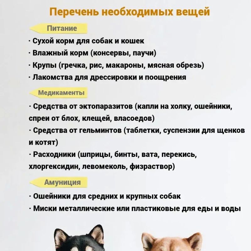 Поможем братьям нашим меньшим вместе! Поможем братьям нашим меньшим вместе!