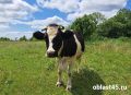 �������� ������ ����� �������� ������������ ������� ���� � ���������� �������