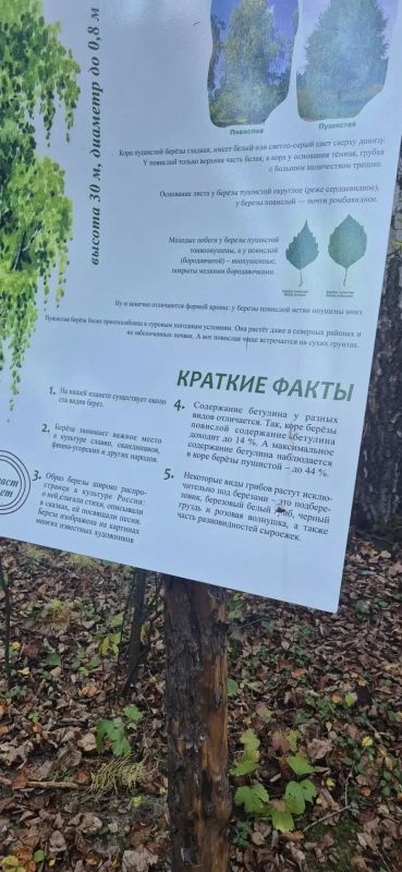 В Просветском дендрарии произошел неприятный инцидент: пострадало имущество, созданное для комфорта посетителей В Просветском дендрарии произошел неприятный инцидент: пострадало имущество, созданное для комфорта посетителей