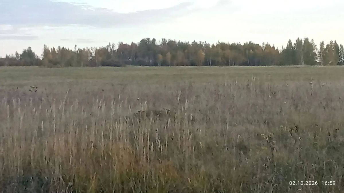 Красоты природы востока области Красоты природы востока области