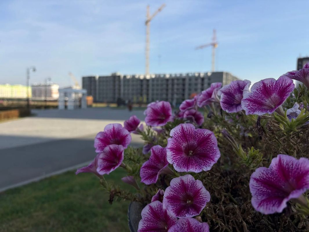 Новые общественные пространства продолжают радовать курганцев Новые общественные пространства продолжают радовать курганцев