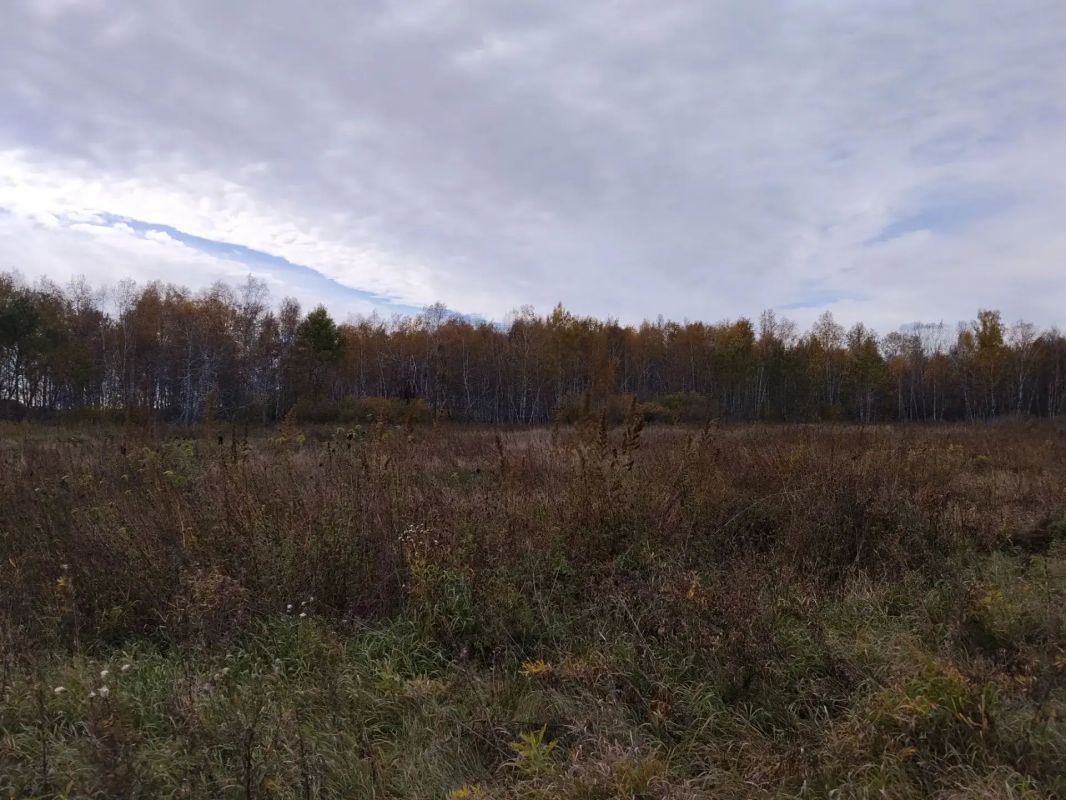 Осенние пейзажи востока области Осенние пейзажи востока области
