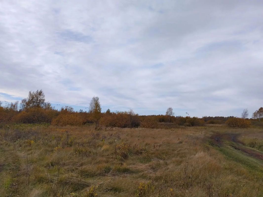 Осенние пейзажи востока области Осенние пейзажи востока области