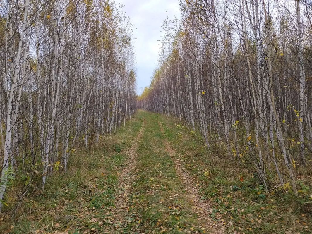 Осенние пейзажи востока области Осенние пейзажи востока области