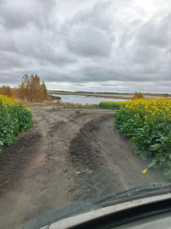 Подкормочный поля, Петрушинское охотничье хозяйство Щучанский округ Подкормочный поля, Петрушинское охотничье хозяйство Щучанский округ