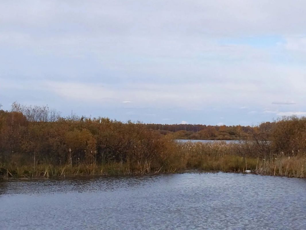 Осенние пейзажи востока области Осенние пейзажи востока области