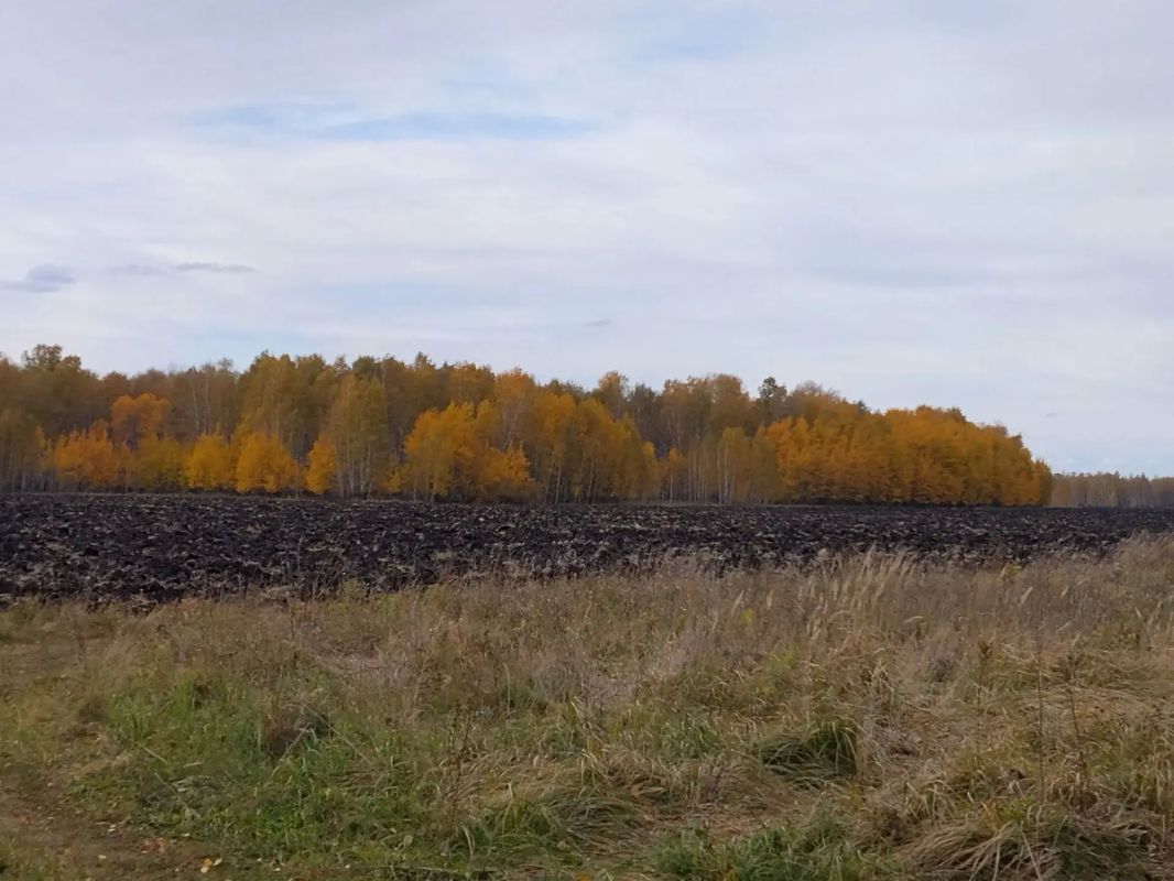 Осенние пейзажи востока области Осенние пейзажи востока области