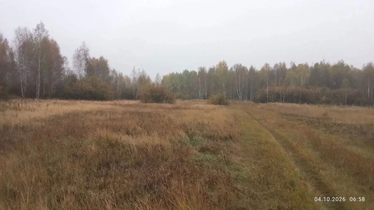 Осенние пейзажи востока области Осенние пейзажи востока области