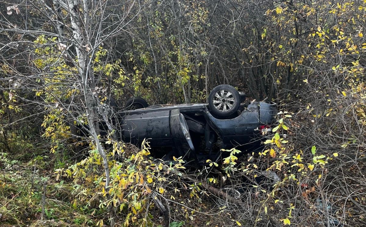 Погиб пассажир: автомобиль опрокинулся на трассе в Курганской области